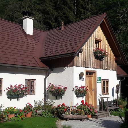 Ferienhaus Lenzau Strohmarkt المظهر الخارجي الصورة