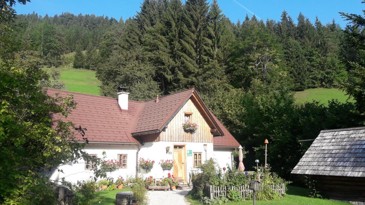 Ferienhaus Lenzau Strohmarkt المظهر الخارجي الصورة